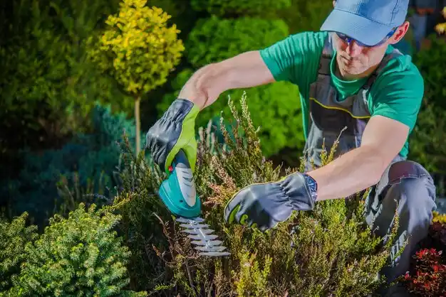 landscaping services Ralston